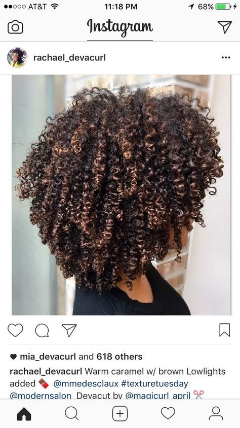 Hazelnut Hair Color Brown Curly, Partial Pintura Highlights Curly, Honey Blonde Highlights Curly Hair Black Women, Cute Curly Hair Colors, Natural Hair Highlights 4c, Natural Curly Haircuts For Black Women, Brown Highlights On Natural Hair, 4c Highlights Natural Hair, 4c Hair With Highlights