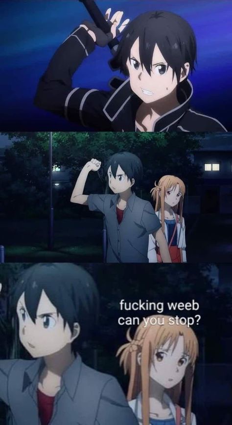 Sao Funny, Sao Memes, Kirito And Asuna, Desenhos Love, Kirito X Asuna, Kirito Asuna, Otaku Meme, The Ancient Magus Bride, Anime Jokes