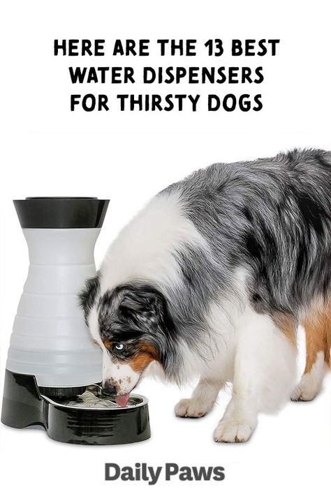 Drinking Water Fountain, Dog Water Bowl, Dog Water Fountain, Colorful Hairstyles, Dog Water Dispenser, Multiple Dogs, Dog Water Bowls, Water Dispensers, Pet Gear