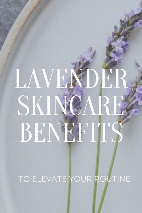 6 Lavender Benefits For Skin, lavender skincare, natural skincare, essential oils, lavender Lavender Skincare, Home Gel Nail Kit, Product Skincare, Benefits Of Lavender, Essential Oils Lavender, Skincare And Makeup Products, Lavender Benefits, Lavender Extract, Skincare Benefits