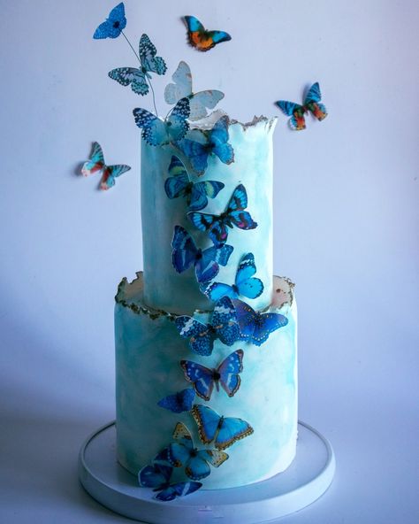 Aqua Haze butterflies!!! These are a collection of beautiful shades of Blues, Turquoise, Aqua, violet and navy butterflies. 100% edible and pre-cut for your convenience! Simply open your Crystal Candy wafer paper butterflies and let them Fly onto your cake to create magic! ORDER HERE: https://www.crystalcandy.co.za/product/aqua-haze-butterflies/ Candied Violets, Wafer Paper Butterflies, Candy Wafers, Crystal Candy, Wafer Paper, Order Here, Shades Of Blue, Cake Decorating, Butterflies