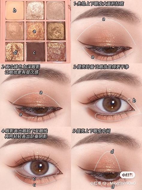 Tan Skin Makeup, Warm Tone Makeup, Square Face Makeup, Eye Shape Makeup, Eye Makeup Guide, Neutral Eye Makeup, Korean Makeup Tips, Makeup Order, Learn Makeup