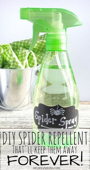 Spider Spray Diy, Spiders Repellent Diy, Natural Spider Repellant, Spider Spray, Repellent Diy, Spiders Repellent, Diy Bug Spray, Bug Spray Recipe, Nyttige Tips