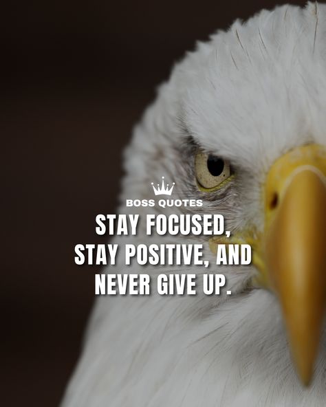 Keep your eyes on the prize, maintain a positive mindset, and never lose sight of your dreams. Stay focused, embrace challenges as opportunities, and never give up on what sets your soul on fire. You have the power to overcome any obstacle that comes your way. #Motivation Sets Your Soul On Fire, Academic Goals, Soul On Fire, Eyes On The Prize, Boss Quotes, Stay Positive, Staying Positive, Stay Focused, On Fire