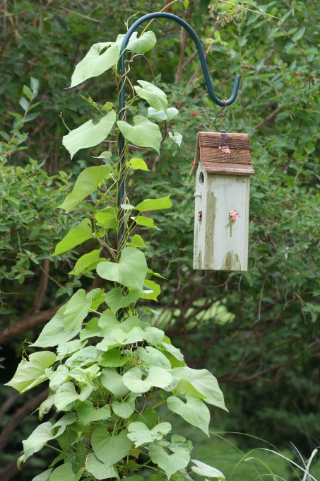 bird house Shepards Hooks Garden, Shepard Hooks Ideas Garden, Short Shepards Hook Ideas, Shepherd Hooks Garden Ideas, Shepards Hook Ideas Garden, Shepherds Hook Ideas, Shepherd Hook Ideas, Ideas To Hang On Shepards Hook, What To Hang On A Shepherds Hook