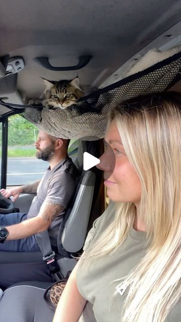 Van Life Travel, Camping Lifestyle, Social Media Course, Camper Van Life, Van Living, Cat Travel, My Pet, Animal Planet, Pet Beds