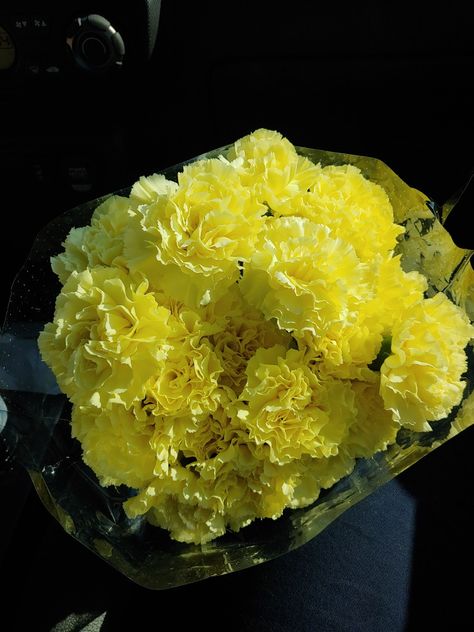 Carnation Aesthetic, Carnation Wallpaper, Yellow Carnations, Nothing But Flowers, Happy Colors, Pretty Flowers, Yellow Flowers, The House, Energy