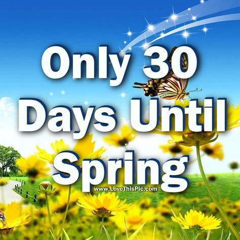 Only 30 Days Until Spring quotes spring spring quotes spring countdown spring images Quotes Spring, Days Until Spring, Spring Quotes, Spring Images, Spring Pictures, Spring Sign, Facebook Image, 30 Day, The Incredibles