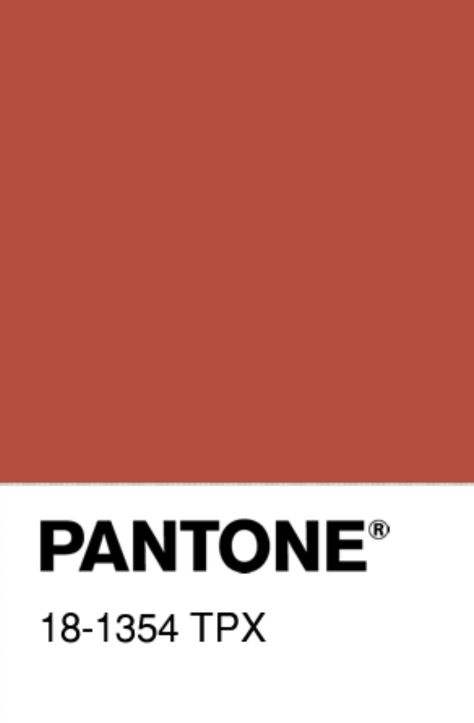 Burnt Ochre, Cafe Creme, Scenery Photography, Purple Wine, Color Inspo, Pantone Color, Color Me, Color Palette, Cinnamon