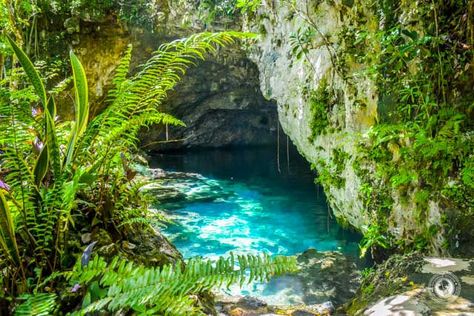 Dudu Cenote Near Sosua Dominican Republic! These are places that every wanderluster needs to see! Sosua Dominican Republic, Dominican Republic Vacation, Punta Cana Beach, Dominican Republic Travel, Travel Caribbean, Sosua, Belize Travel, Venice Italy Travel, Romantic Vacations