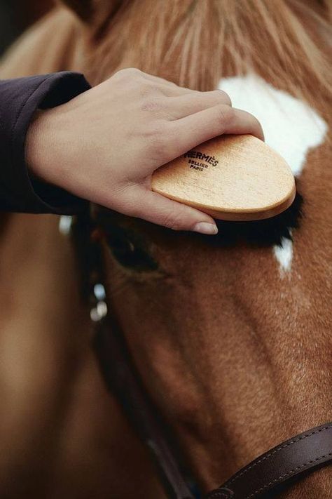 . Horse Brushes, Equestrian Chic, Equestrian Boots, Equestrian Lifestyle, Horse Ranch, Equestrian Life, Equestrian Outfits, Horse Photography, Horse Love