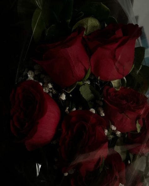 Give me my flowers. Widgets Flowers, Red Nature Aesthetic, Red Aesthetic Flowers, Arianna Core, Red Flowers Aesthetic, May Aesthetic, Give Me Flowers, Flores Aesthetic, Fav Flower