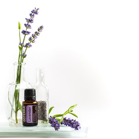 Doterra Lavender, Doterra Business, Doterra Oils, Menu Ideas, Smoothie Drinks, Doterra Essential Oils, Lavender Oil, Lavender Essential Oil, Doterra