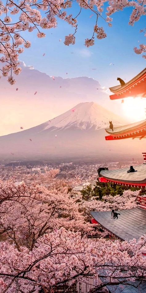 Japanese Fuji Mountain, Japanese Asthetic Wallpers, Japan Aesthetic Wallpaper Iphone, Japan Nature Wallpaper, Japan Hd Wallpaper, Japan City Aesthetic, Japan Blossom, Photo Japon, Gunung Fuji