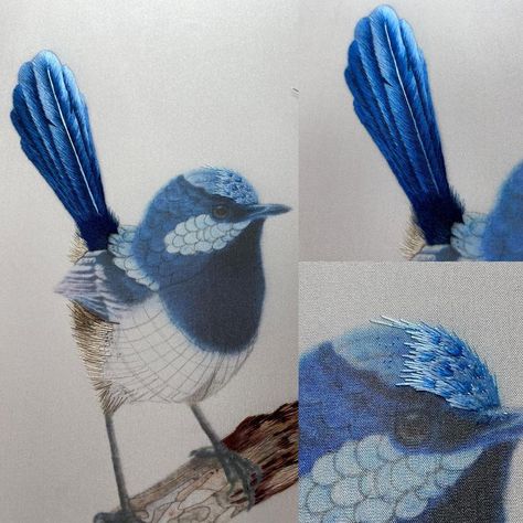 Pauline Texidor on Instagram: “🇫🇷A propos des « WIP », en voici un qui va prendre du temps : un geai bleu réalisé en broderie (peinture à l’aiguille) chinoise en fils de…” Blue Jay, Instagram A, Embellishments, Embroidery, Animals, On Instagram, Instagram