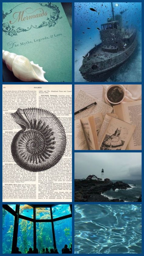 Academia Room Aesthetic, Ocean Academia, Academia Aesthetic Wallpaper, Aphrodite Aesthetic, Nautical Aesthetic, Aesthetic Types, Aesthetic Board, Man Photography, Dark Academia Aesthetic