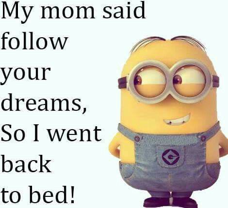 Sleep Minion Humour, Minion Meme, Funny Minion Pictures, Funny Minion Memes, Minion Jokes, A Minion, Funny Disney Jokes, Funny Texts Jokes, Funny School Jokes