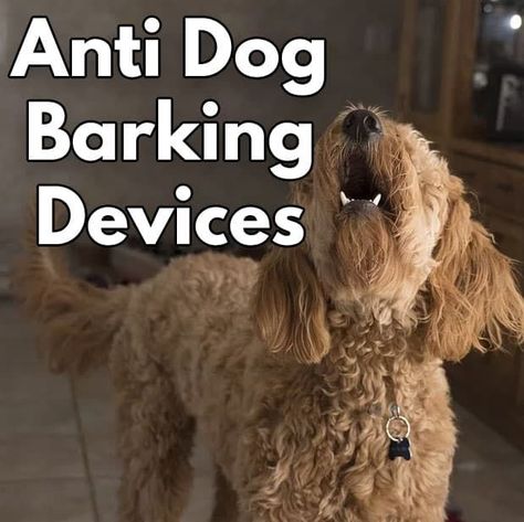 Top Anti Dog Barking Devices Available! - Lover Doodles Bark Collars For Dogs, Stop Dog Barking, Shock Collar, Training Collar, Dog Training Collar, Dog Barking, Outdoor Dog, Training Your Dog, Large Dogs