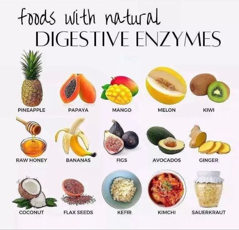 Food Health Benefits, Food Charts, Snacks Saludables, Healthy Lifestyle Food, Makanan Diet, Holistic Nutrition, Healing Food, Digestive Enzymes, Food Facts