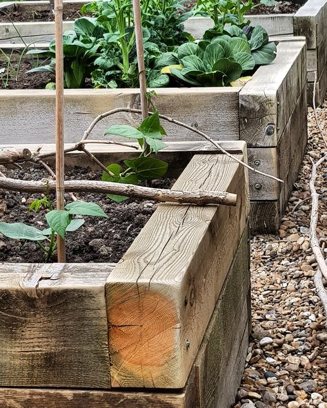 Oak Sleeper Raised Beds, Sleeper Flower Beds, Raised Veg Beds, Garden Sleepers, Raised Veggie Beds, Brick Raised Beds, Pebble Patio, Sleeper Beds, Sleepers In Garden