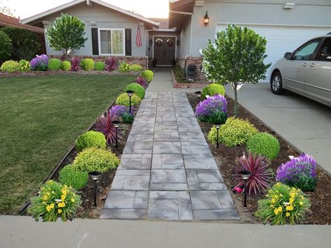 Moss garden  // Great Gardens  Ideas // Gardeners are using it all kinds of different decorative ways this year, it is everywhere! Front Yard Walkway, Front Yards Curb Appeal, Walkway Landscaping, Driveway Landscaping, Front Yard Design, Front Landscaping, Low Maintenance Landscaping, Front Lawn, Front Yard Garden