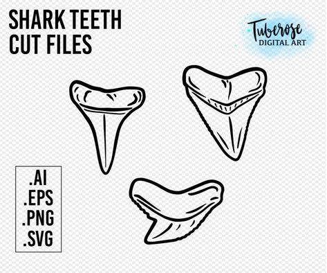 Shark Tooth Outline, Shark Tooth Illustration, Tiny Shark Tooth Tattoo, Mako Shark Tooth Tattoo, Tiger Shark Tooth Tattoo, Shark Teeth Drawing, Shark Tooth Drawing, Tooth Sketch, Teeth Outline