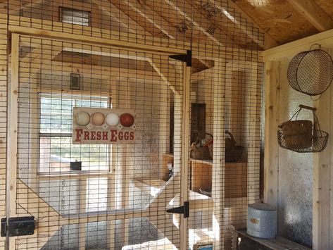 Inside Chicken Coop, Urban Chicken Farming, Portable Chicken Coop, Urban Chickens, Coop Design, Best Chicken Coop, Chicken Coop Designs, Backyard Flocks, Coop Plans