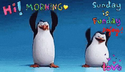 Morning Happy Sunday GIF - Morning HappySunday Penguin - Discover & Share GIFs Good Sunday Morning Gif, Happy Sunday Morning Gif, Happy Sunday Gif Images, Happy Sunday Morning Funny, Good Morning Gifs Funny Hilarious, Sunday Morning Gif, Good Morning Gifs Funny, Good Morning Sunday Gif, Happy Sunday Gif