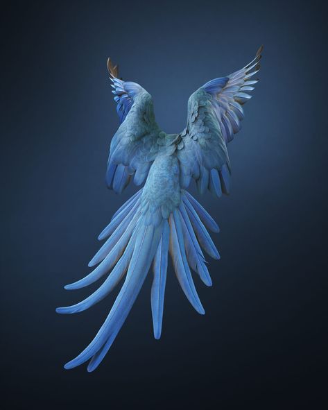 Re-introducing: Spix’s Macaw – AOP Awards Spix Macaw, Animal Conservation, Wildlife Photographer, Extinct Animals, What Image, Animal Species, Historical Events, Beautiful Birds, New World