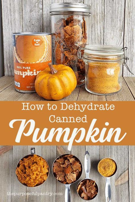 Dehydrate Pumpkin, Things To Dehydrate, Dehydration Recipes, Dehydrator Ideas, Fruit Powders, Pumpkin Powder, Dehydrating Food Storage, Excalibur Dehydrator, Dehydrated Fruits