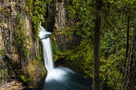 Oregon - Toketee Falls is located on the North Umpqua River in Douglas County. It is completely enchanting, with water flowing gracefully through a path it has carved over the years through a magnificent basalt cliff, and dropping around 120 feet in two stages into the basin. Waterfalls In Oregon, Toketee Falls, Oregon Nature, Silver Falls State Park, Oregon Waterfalls, Oregon Road Trip, Waterfall Trail, Multnomah Falls, Waterfall Hikes