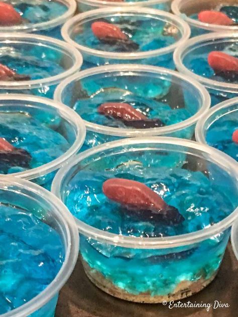 This blue jello shot recipe made with Malibu coconut rum and Swedish fish is awesome! It looks like the ocean in a cup and will be perfect for summer parties. #entertainingdiva #drinks #cocktailrecipe #partyideas #bluejelloshots #cocktails #coconutrumjelloshots #jelloshots #summer #memorialday4thofjulyentertainingideas Jelloshots Recipes, Beachy Drinks, Rum Jello Shots, Blue Jello Shots, Best Jello Shots, Luau Ideas, Campfire Party, Jello Cups, Blue Jello