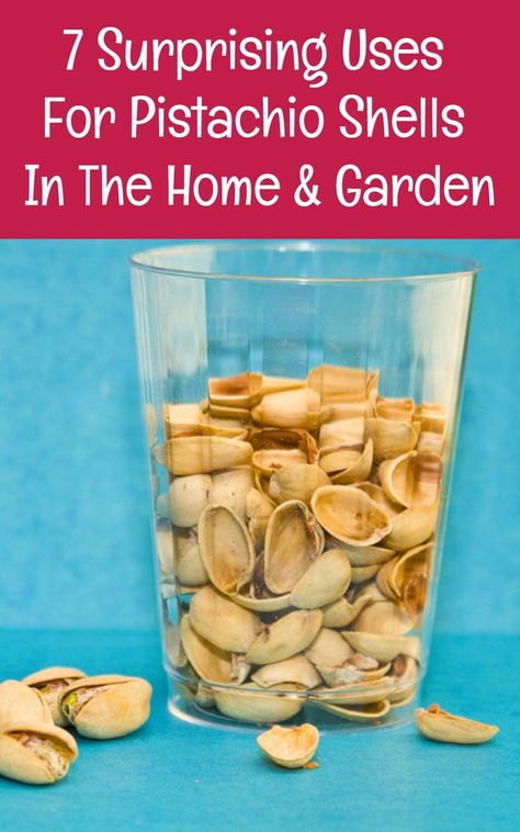 Wow - who knew you could do so much with pistachio shells! Pistachio Nut Shell Crafts, How To Use Pistachio Shells, Pistachio Shell Art Ideas, Pistachio Art Ideas, Craft With Pistachio Shells, Crafts With Pistachio Shells, Art With Pistachio Shells, Pistachio Shell Art, Nut Shell Crafts