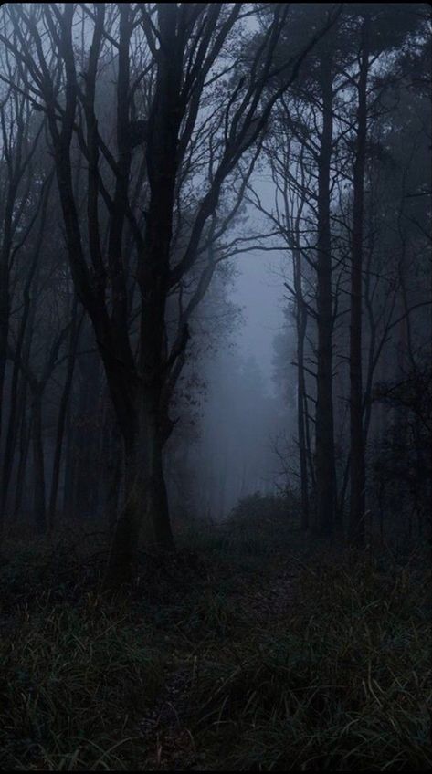 Horror Forest Aesthetic, Dark Trees, Dark Naturalism, Dark Forest Aesthetic, Creepypasta Oc, Forest Aesthetic, Dark Landscape, Aesthetic Books, Dark Green Aesthetic