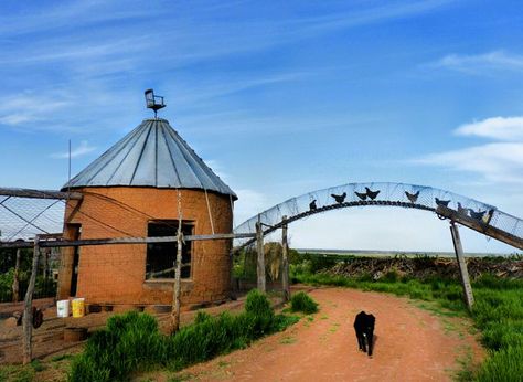 Now that's a chicken coop! Why would the chicken cross the road when they have a sky bridge? :) Chicken Bridge Diy, Chicken Bridge, Truck Canopy, Sky Bridge, Chicken Life, Animal Pen, Permaculture Design, Diy Chicken Coop, Farms Living