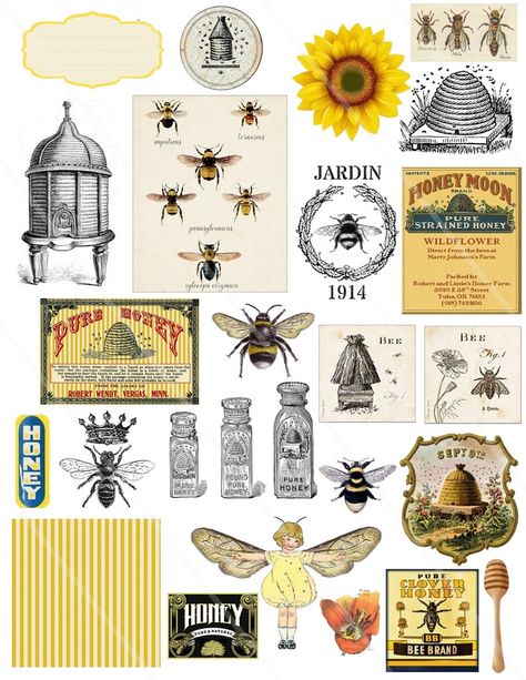 Bee Journal, Collage Stickers, Bee Images, Free Collage, Vintage Clip Art, Collage Images, Free Vintage Printables, Collage Journal, Bee Sticker