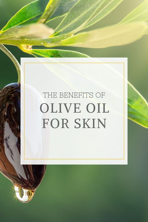 While everyone is familiar with olive oil and has definitely used this ingredient at least once, many have not considered olive oil as a solution to their skin concerns. In fact, plenty are even surprised to learn that olive oil can be applied to their skin and has many other benefits and uses! Olive Oil Benefits Skin, Olive Oil For Skin, Olive Oil Skin Care, Benefits Of Olive Oil, Skin Care Routine Products, Olive Oil Skin, Sensitive Skin Care Routine, Body Skin Care Products, Skincare Oil