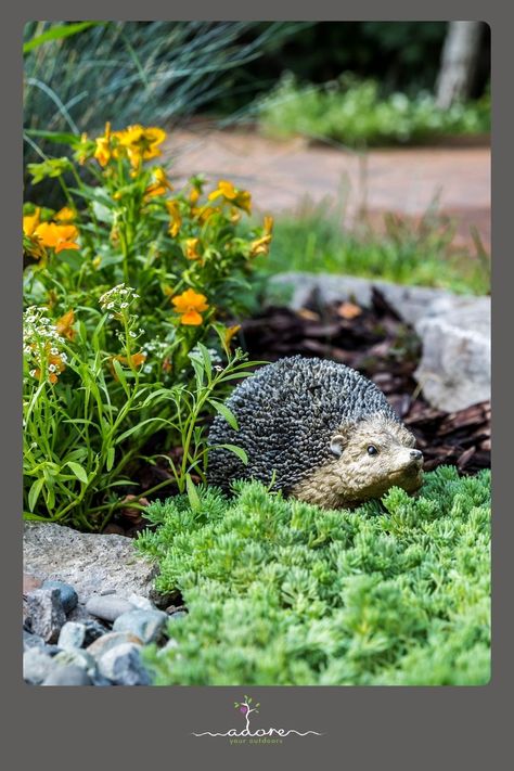 Autumn is the perfect time to create a wildlife-friendly garden! Discover simple tips for supporting birds and bees, building small ponds, and enhancing your wildlife habitat. Our blog post covers everything you need to know to create a native garden that attracts and nurtures wildlife in your space. Garden Wildlife, Birds And Bees, Nature Therapy, Pond Maintenance, Bug Hotel, Forest Bathing, Wildlife Gardening, Wildlife Habitat, Small Ponds