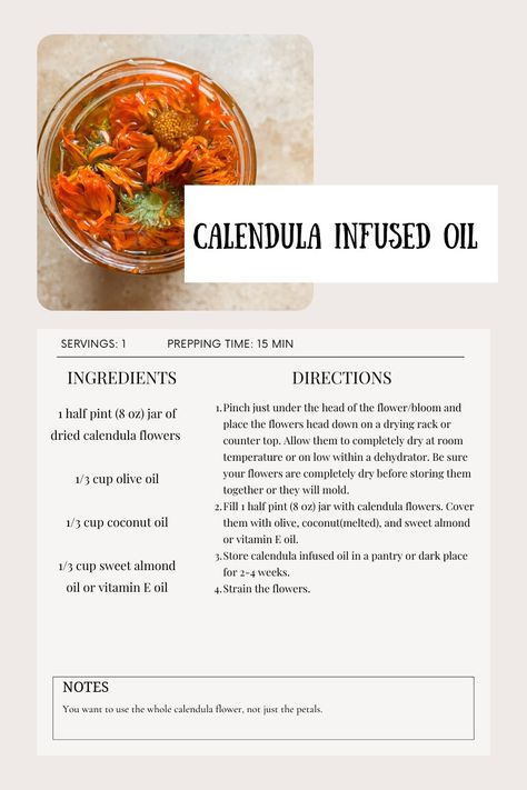 How To Make Calendula Salve Calendula Uses Witchcraft, Calendula Oil Recipes, Calendula Spell Uses, Calendula Salve Benefits, How To Make Calendula Salve, Calendula Salve Recipe, Calendula Flower Benefits, Calendula Properties, Calendula Oil Diy