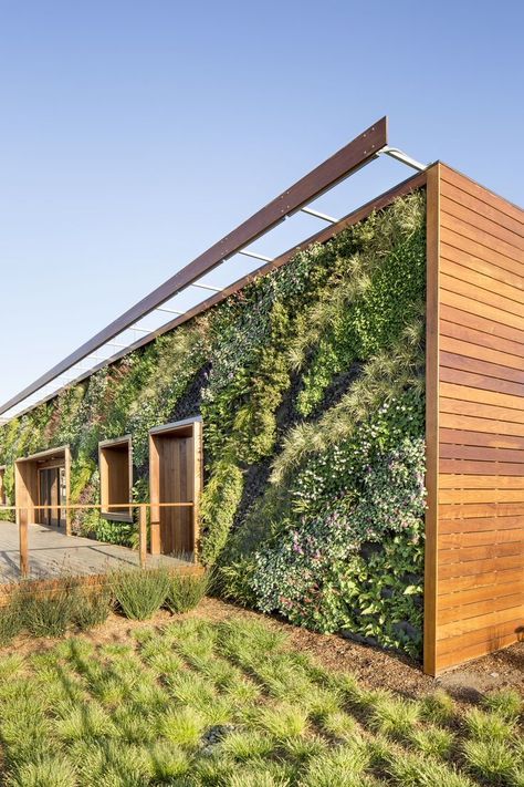 Green Facade, Living Walls, Green Architecture, Rooftop Garden, Design Exterior, Garden Features, Living Wall, Sustainable Architecture, Green Roof