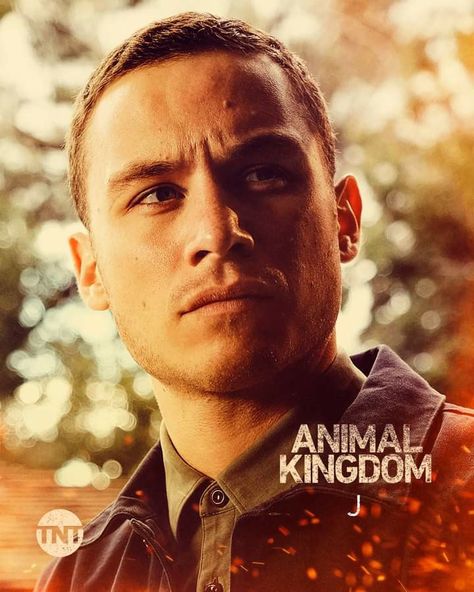 Animal Kingdom Tnt, Animal Kingdom, See It, The Journey, Beautiful People, Google Images, Movie Posters, Animals, On Instagram