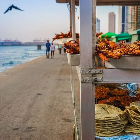 Reposting @94.lifestyle: Iconic streets of Colombo. Galle Face open arena is one of the most visited places in the city. Head over there to experience authentic Sri Lankan street food 🥘 ・・・ #94lifestyle #blogger #bloggingtips #bloggerlife #bloggersgetsocial #ontheblog #travelblogger #travelblog #travelgram #travelphoto #wanderlust #solotraveler #traveladdict #travellife #travelawesome #traveldiaries #colombo #lka #SriLanka Sri Lanka Street Food, Travel Life, In Boston, All Inclusive, Street Food, Sri Lanka, Travel Photos, Travel Blogger, Travel Blog