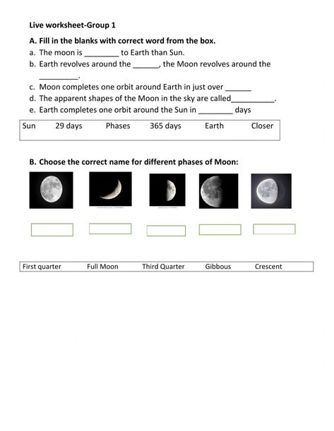 Actividad online de Phases of Moon para Grade 4. Puedes hacer los ejercicios online o descargar la ficha como pdf. 2nd Grade Spelling Words List, Phases Of The Moon Worksheet, Moon Phases Worksheet, Moon Worksheet, English Spelling Rules, Free Science Worksheets, 2nd Grade Spelling Words, Moon Facts, Space Physics