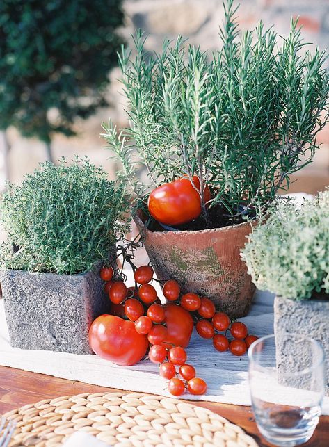 ​10 Italian wedding ideas to evoke a taste of Tuscany Mediterranean Event Decor, Italian Table Setting Tuscan Style, Tomato Tablescape, Italian Table Decorations, Pizza Party Rehearsal Dinner, Tuscan Party, Italian Wedding Ideas, Italian Themed Wedding, Wedding Dinner Table Setting