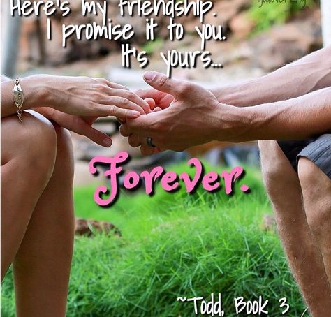 ☀️Pinterest: hannahb37 Christy Miller And Todd Spencer, Christy Miller, Christy Miller Series, Christian Fiction, King James Version, The Covenant, Friends Forever, Book Series, Favorite Books