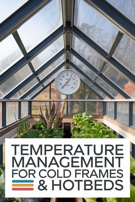 How to Manage Temperature in Cold Frames and Hotbeds Cold Frames, Home Grown Vegetables, Best Plants, Cold Frame, Bountiful Harvest, Garden Structures, Chilly Weather, Head Start, Garden Spaces