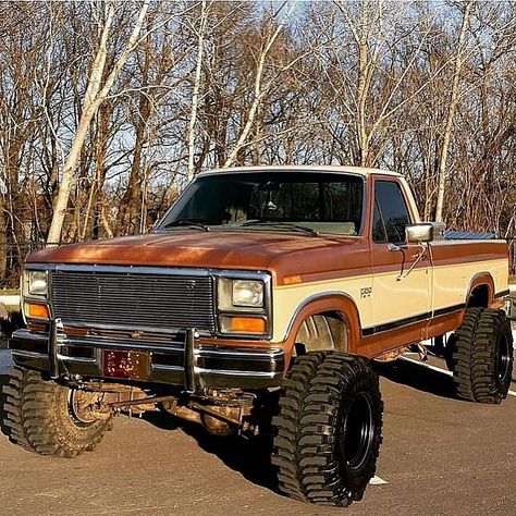 Bullnose Ford, 1979 Ford Truck, Dodge Diesel, Ford Diesel, Classic Ford Trucks, Jacked Up Trucks, Ford Pickup Trucks, 4x4 Trucks, Ford Pickup