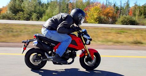 Honda Grom 125, Gas Powered Bicycle, Car Organization Diy, Powered Bicycle, Honda Grom, Street Motorcycle, New Honda, Honda Motorcycles, Hybrid Car