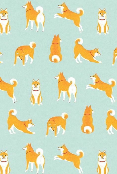 shiba inu pattern Dog Wallpaper Iphone, Posca Art, 강아지 그림, Dog Wallpaper, Dog Illustration, Dog Pattern, Art And Illustration, Pattern Illustration, Akita