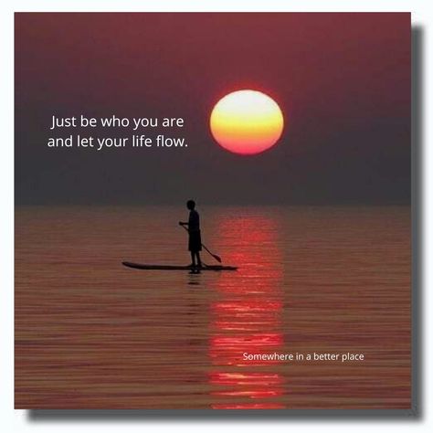 Go With Flow Quotes, Let Life Flow Quotes, Let It Flow Quotes, Flow Quotes, Let It Flow, Chennai Super Kings, Motivational Quotes For Life, Reality Quotes, Chennai